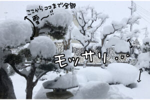 滋賀県高島市は大雪