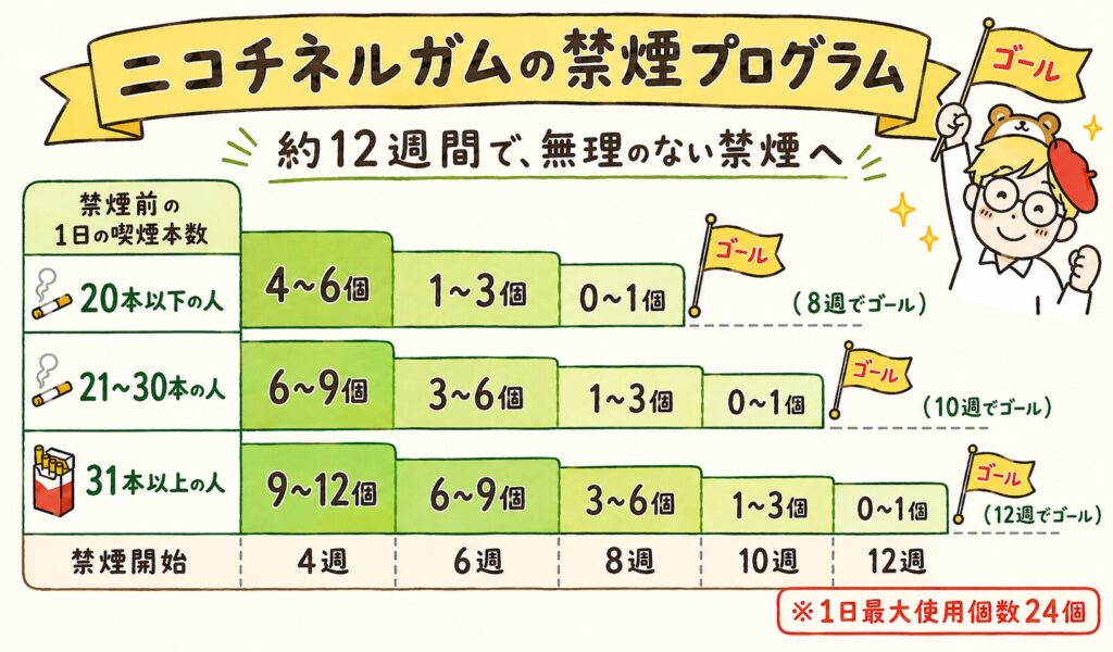 ニコチネルガムの禁煙プログラムを手描きで図解。喫煙本数20本以下なら8週、21〜30本なら10週、31本以上なら12週で、ガムの個数を段階的に減らして卒煙を目指す表。