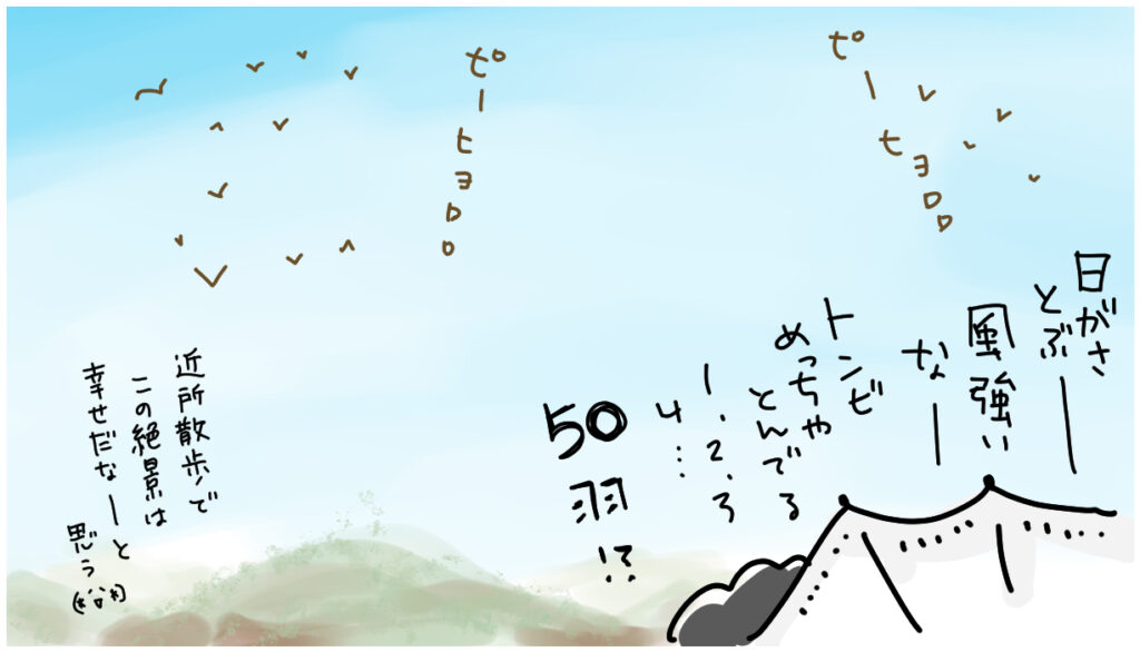 滋賀県高島市の空にはトンビが多い(気がする)
