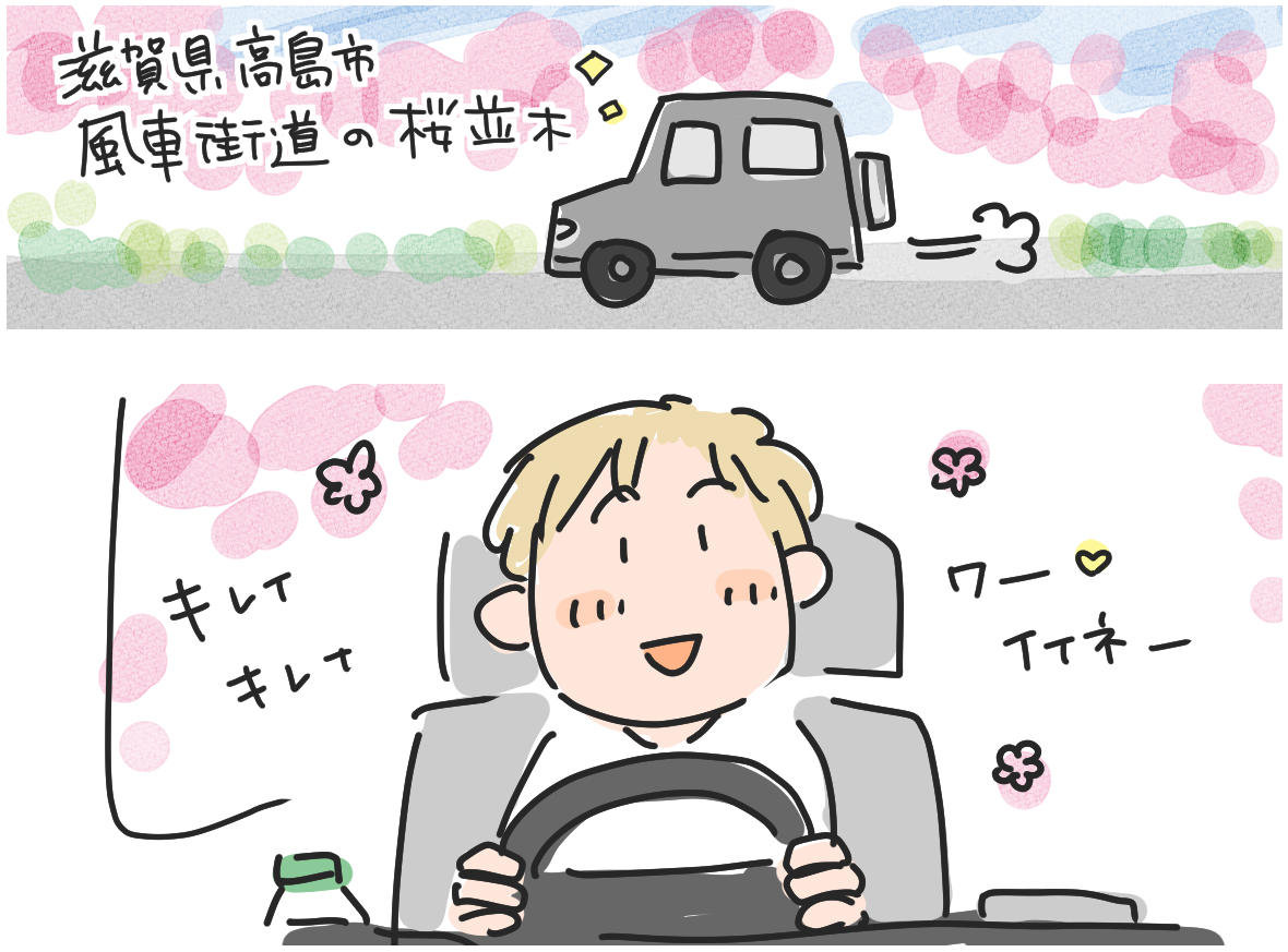 【漫画】2025年・滋賀県高島市・桜満開、ドライブ中のイラスト