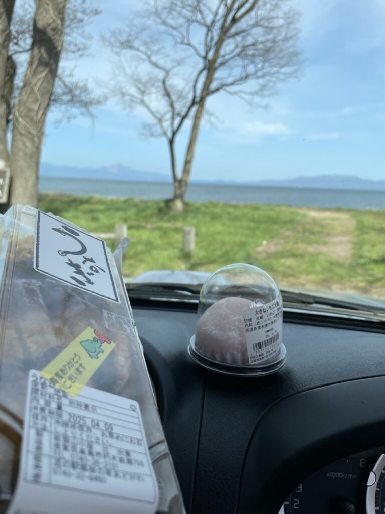 2025年・滋賀県高島市・風車街道桜並木の休憩所で道の駅・安曇川で買ったご飯(うなぎ弁当と苺大福)を食べる様子