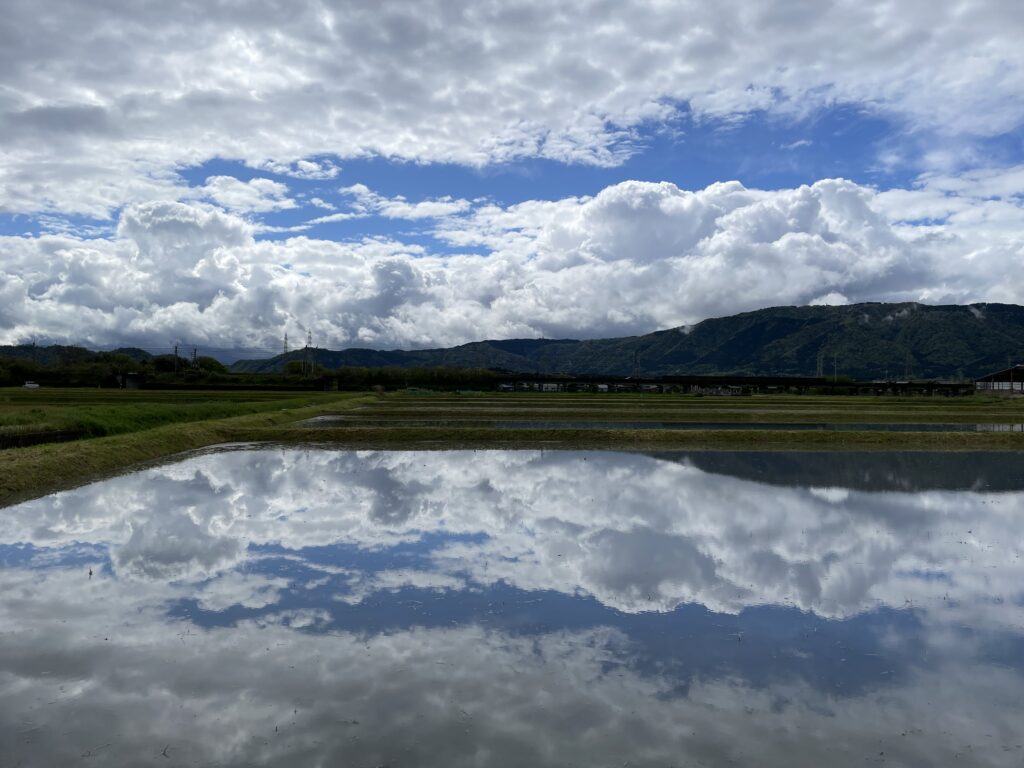 滋賀県高島市、4月、すぐ側にある絶景(写真)