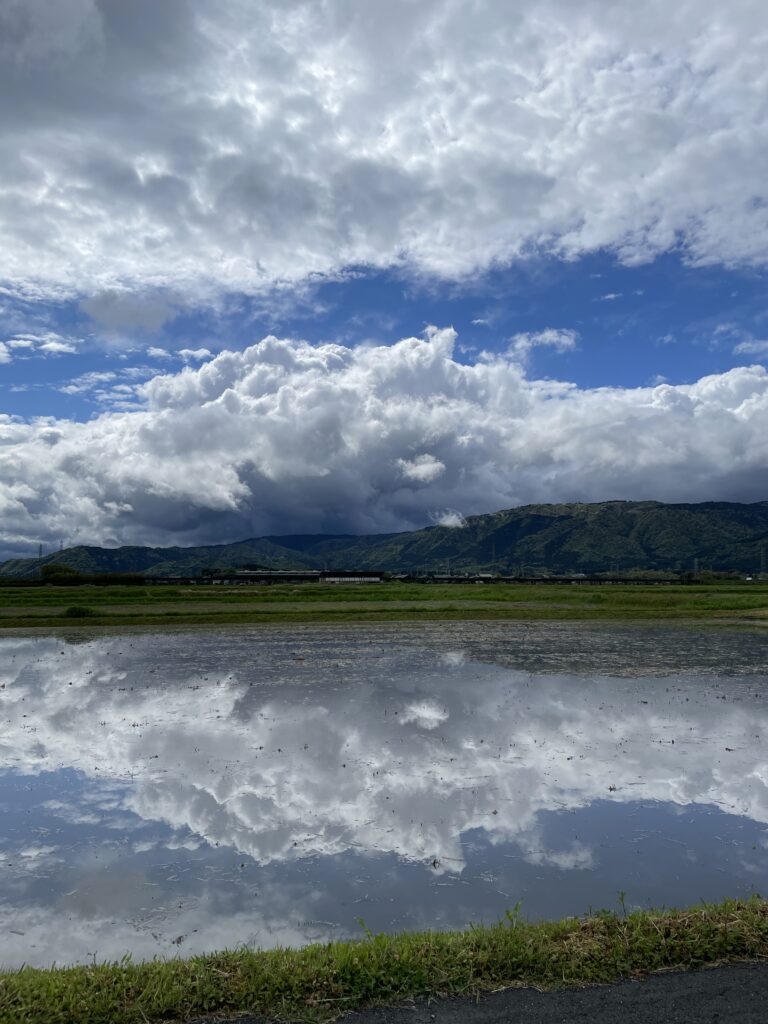 滋賀県高島市、4月、すぐ側にある絶景(写真)
