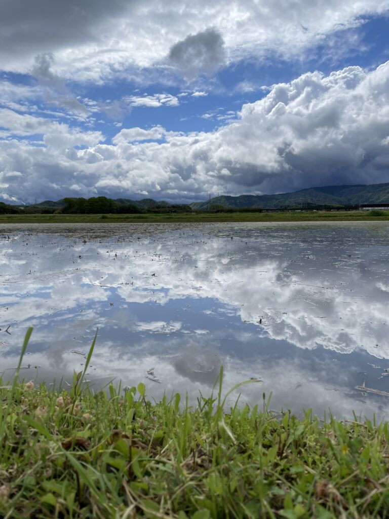 滋賀県高島市、4月、すぐ側にある絶景(写真)