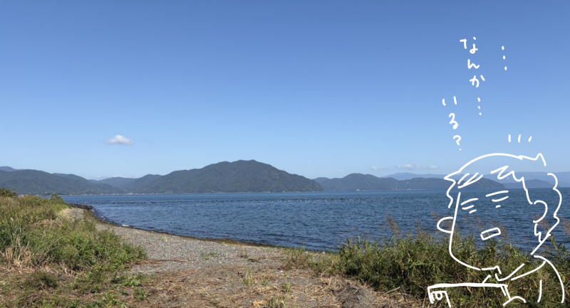 滋賀県高島市、琵琶湖湖でたくさんの鳥がいるの見つけたところ(マツキヨコの絵日記)