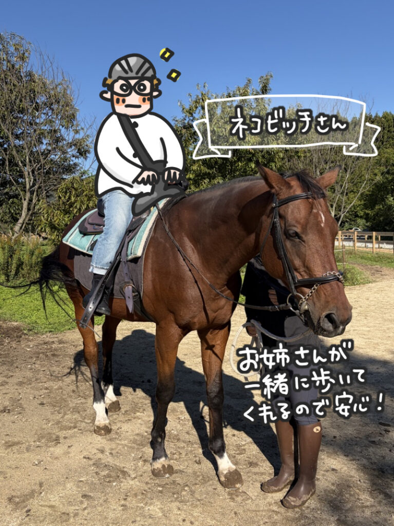 「観光養老牧場 メタセコイアと馬の森」にて、ネコビッチさんとの写真画像| マツキヨコの絵日記