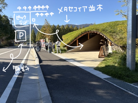 「観光養老牧場 メタセコイアと馬の森」入口、駐車場、写真画像| マツキヨコの絵日記