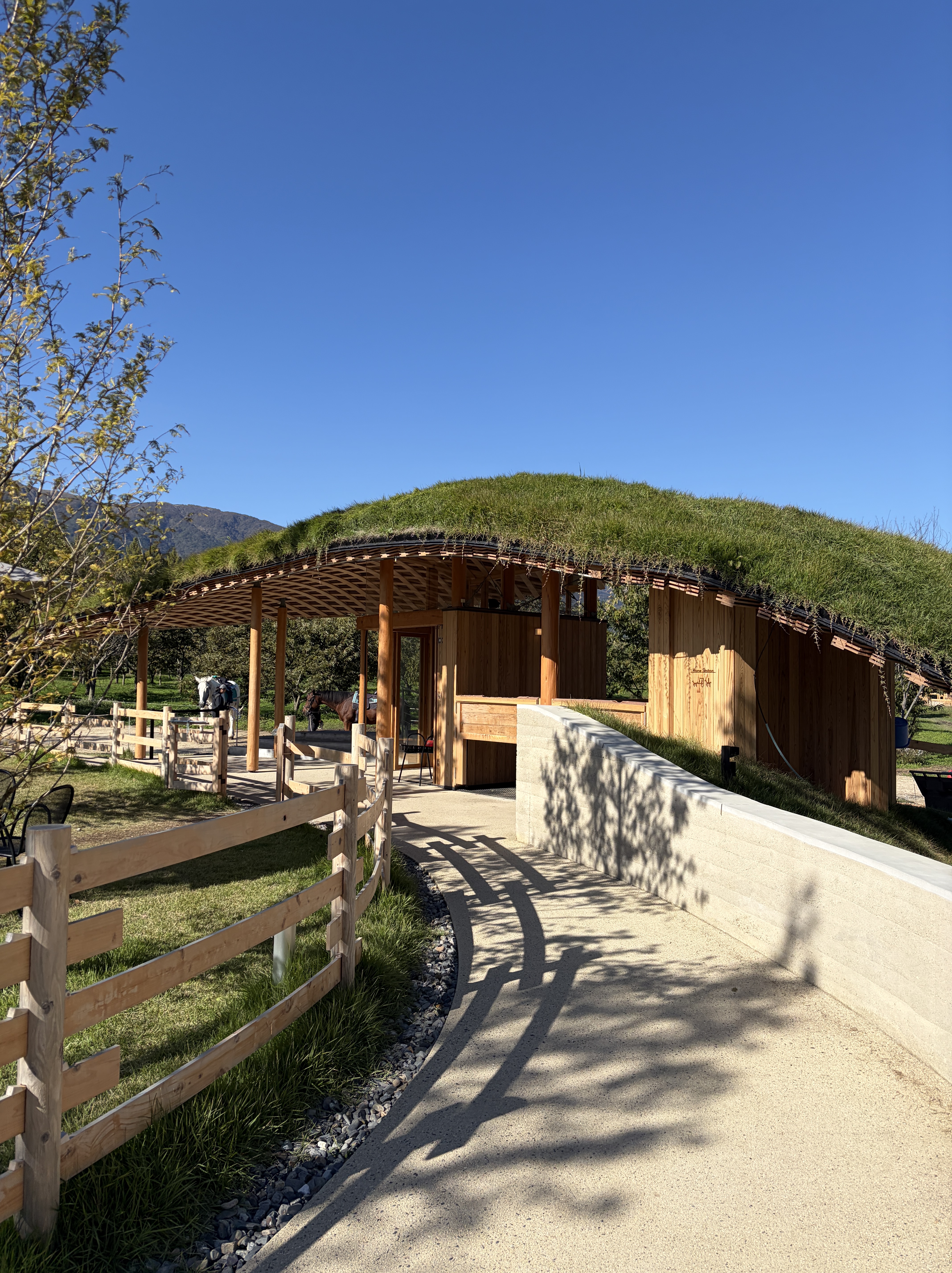 「観光養老牧場 メタセコイアと馬の森」にて、園内の写真画像| マツキヨコの絵日記