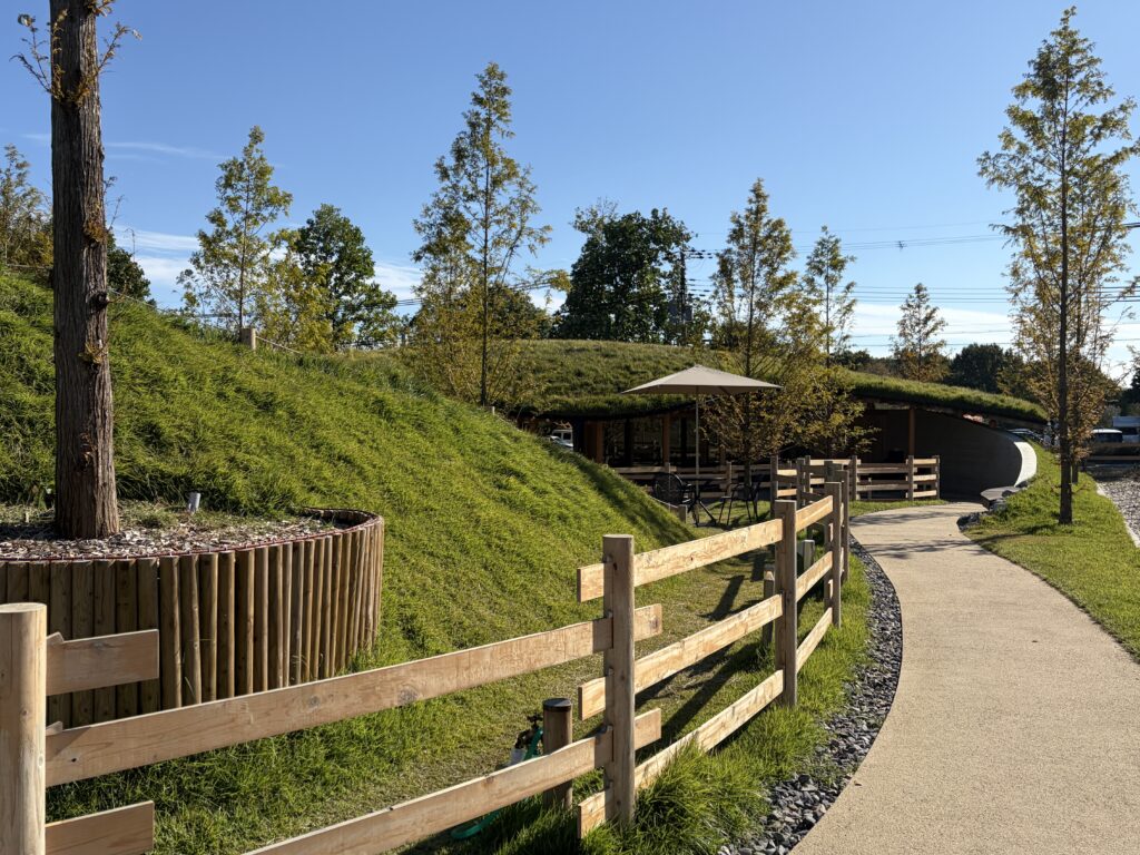 「観光養老牧場 メタセコイアと馬の森」にて、園内の写真画像| マツキヨコの絵日記