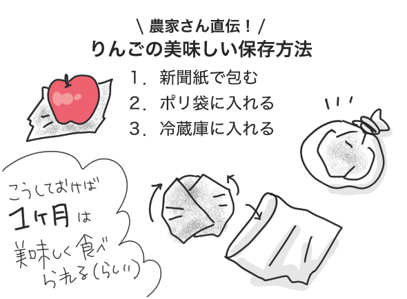 ふじリンゴを堪能中2025年秋冬【漫画日記】りんごのおいしい保存方法を紹している様子 | マツキヨコの絵日記、アイキャッチ画像