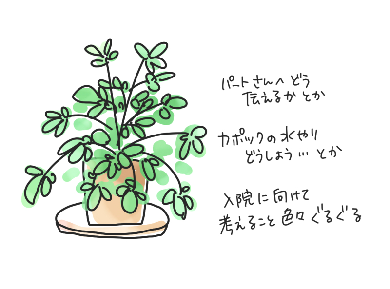 カポックのイラスト「パートさんへどう伝えるかとか、カポックの水やりどうしようとか、入院に向けて考えること。いろいろぐるぐる」マツキヨコ