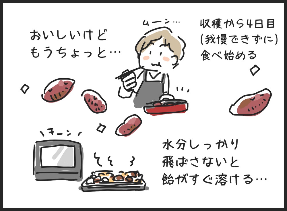 収穫から4日目、我慢できずに大学芋を作り始め、オーブンで焼いたら飴がすぐ溶けてしまった私の4コマ漫画(2コマ目)