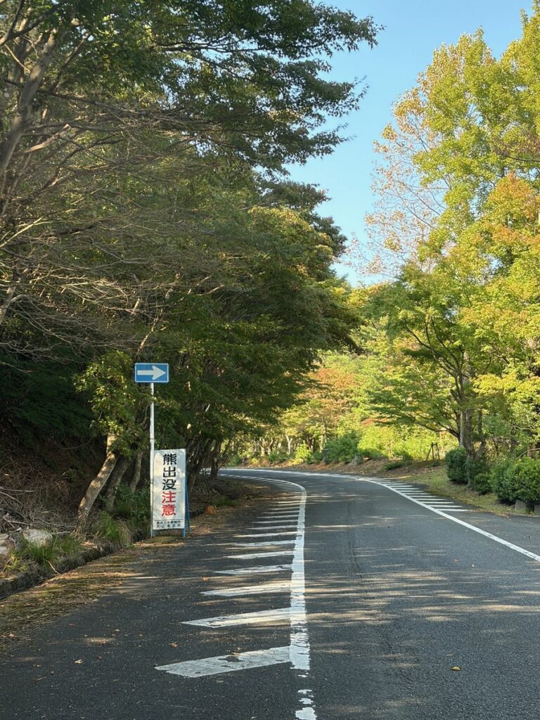 つづら尾崎展望台から先の一方通行の道。熊出没注意の看板が立っている
